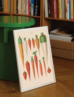 Vintage Carrot Varieties Botanical