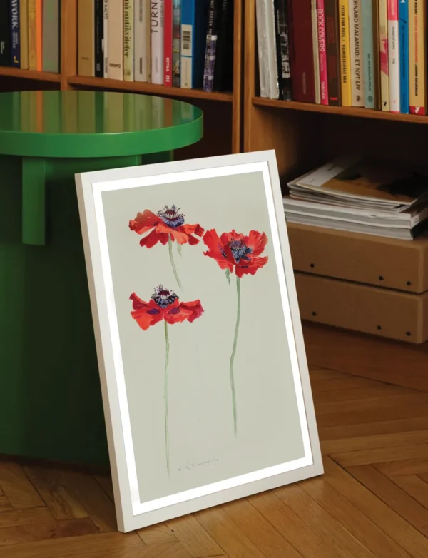 Three Studies of Poppies