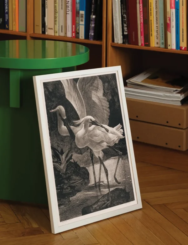 Löffelreiher / Spoonbills