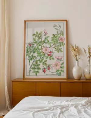 Églantier / Wild Rose