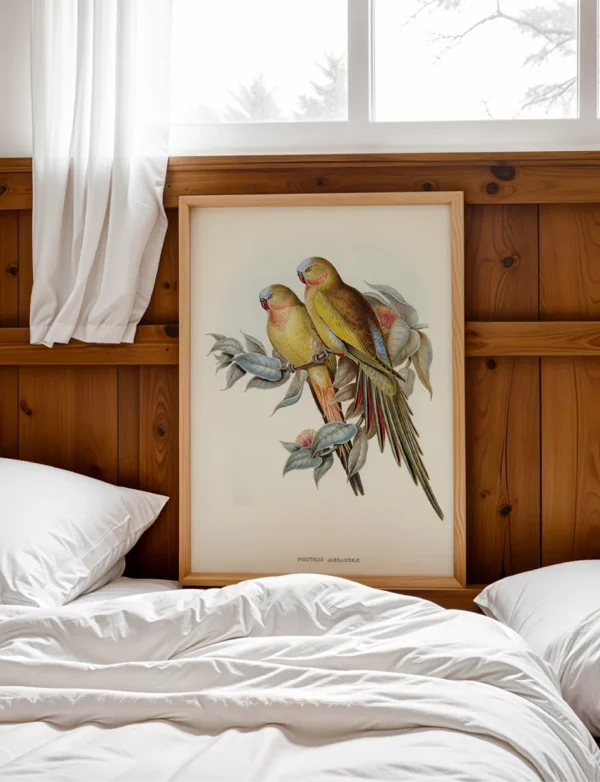 Princess of Wales’s Parakeet