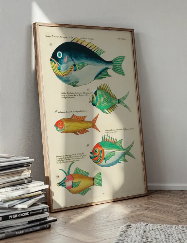East Indian Tropical Fish
