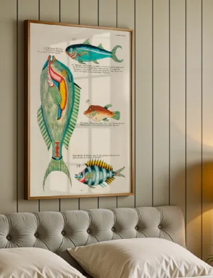 De Springer and De Groot Eylander Fish