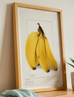 Ynjerto Banana