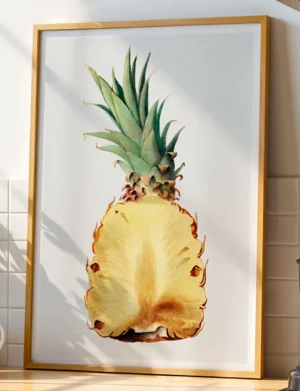 Pineapple Ananas Comosus