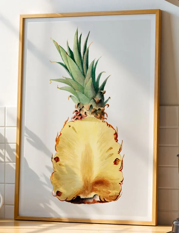 Pineapple Ananas Comosus