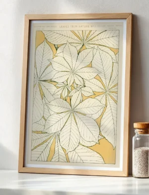 Leaves from Nature No. 1 - Horse Chestnut