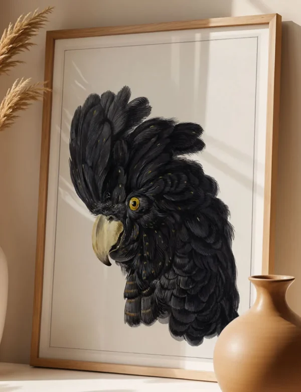 Crested Black Cockatoo