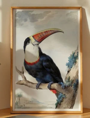 Red-Billed Toucan