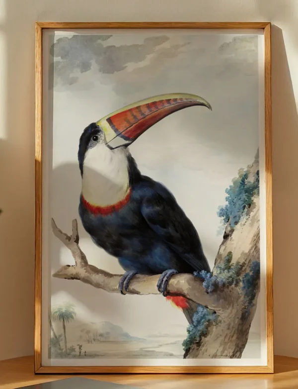 Red-Billed Toucan