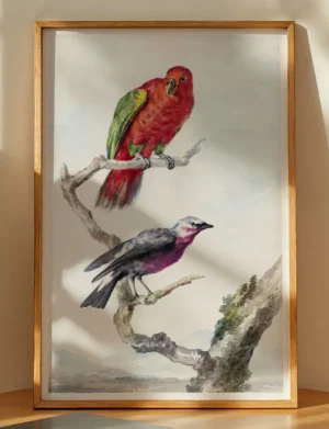 Crimson Parrot & Violet Songbird