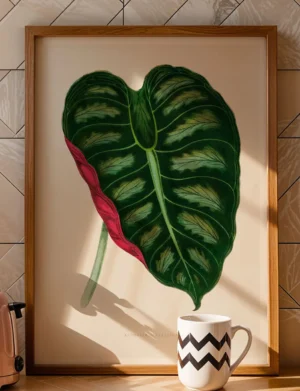 160_F017 Alocasia Metallica