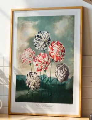 163_F017 A Group of Carnations