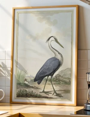 Grey Heron in Wetland