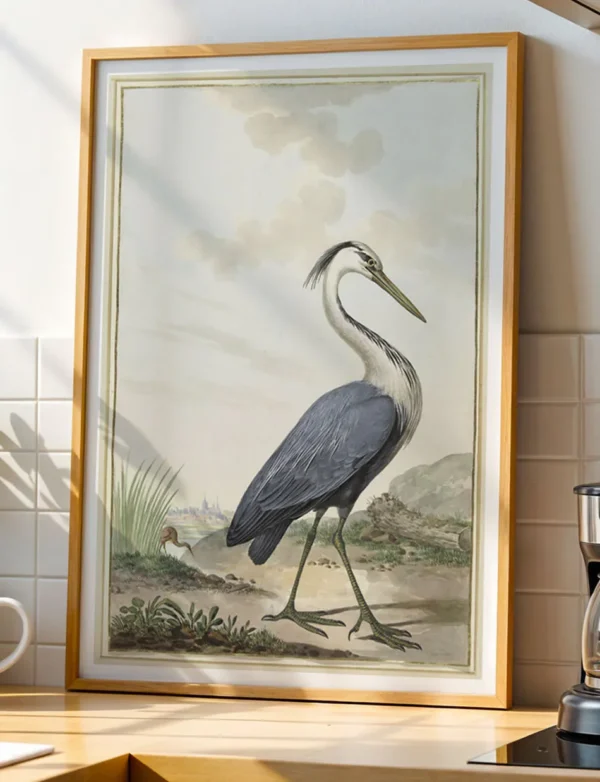 Grey Heron in Wetland