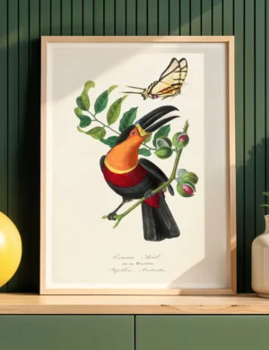 Tropical Toucan & Butterfly
