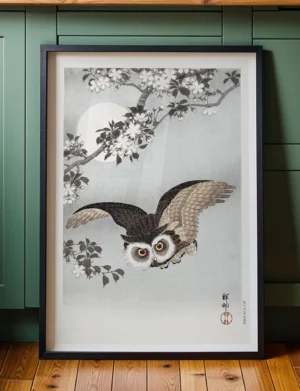 Scops Owl in Flight