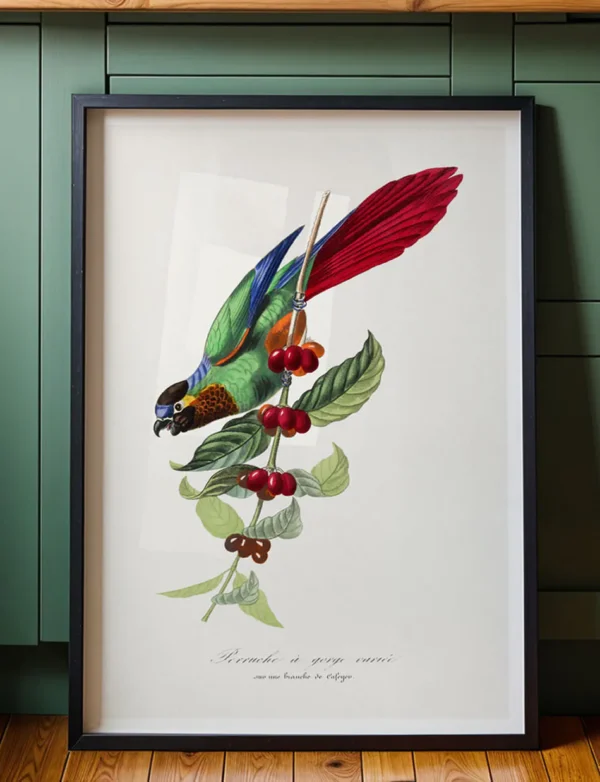 Parakeet & Coffee Branch