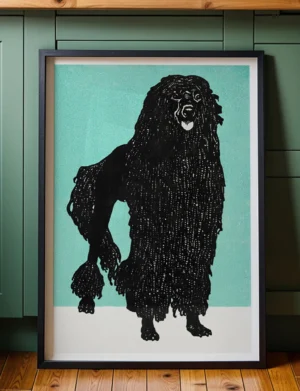 191_F017 Black Corded Poodle in Turquoise