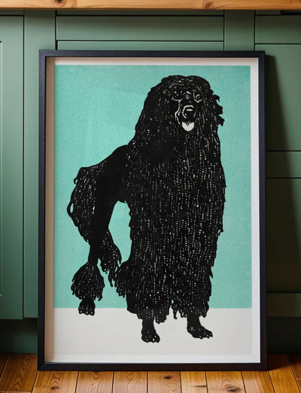 Black Corded Poodle in Turquoise