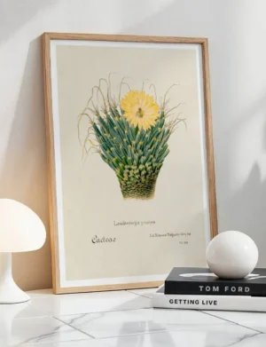 Leuchtenbergia Principis Agave Cactus