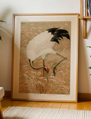 194_F017 Japanese Crane in Autumn Reeds