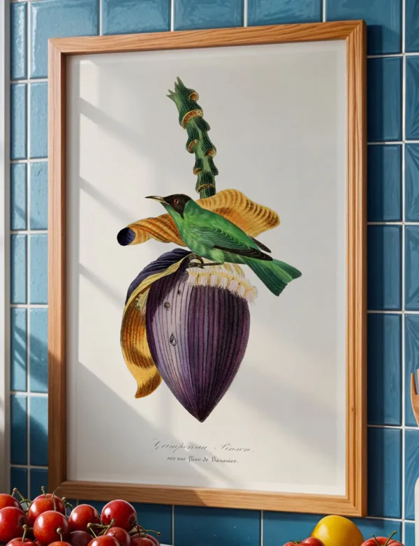 Honeycreeper & Banana Blossom