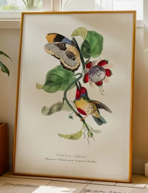Tropical Barbet, Butterfly & Passion Flower