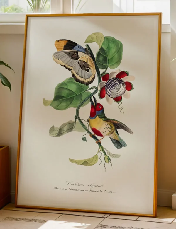 Tropical Barbet, Butterfly & Passion Flower