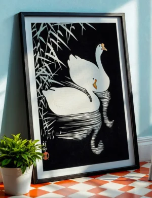 Two Swans on Black Water